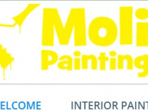 Moli Painting LLC