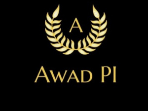 Awad Protection & Investigations LLC