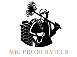 Mr. Pro Services