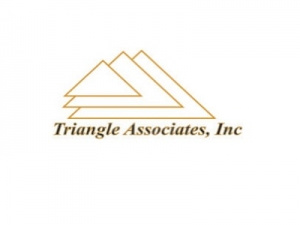 Triangle Associates Inc