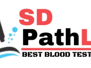 Blood Test At Home In Delhi