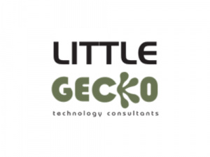 Little Gecko Technology