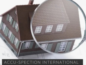 Accu-Spection-International