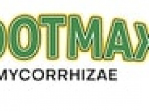 Grow Stronger Plants With Rootmax Mycorrhizae