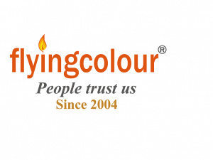 Flyingcolour Accounting Company in Dubai