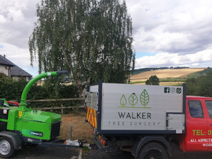 Walker Tree Surgery