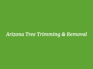 Arizona Tree Trimming and Removal Service