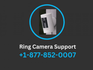 Ring Support | Toll Free +1-877-852-0007