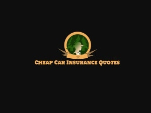 Low-Cost Car Insurance Virginia Beach