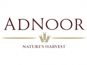 Adnoor Inc