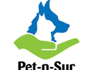 Pet Insurance