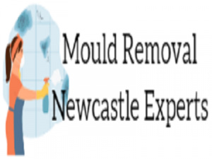 Mould Removal Newcastle Experts