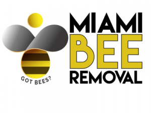 Miami Bee Removal