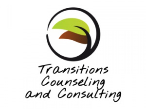 Transitions Counseling and Consulting