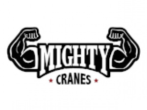 Mighty Cranes - Crane Hire Brisbane