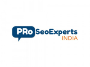 Professional SEO Experts India