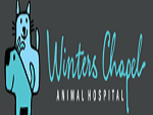Winters Chapel Animal Hospital