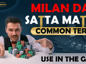 Milan Day Satta Matka: Common Term Use In the Game