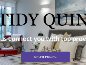Tidy Quin Inc