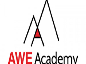 AWE Academy