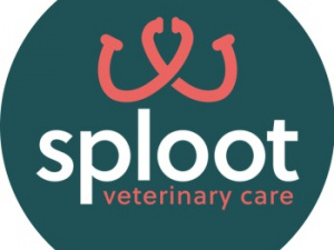 Sploot Veterinary Care - RiNo