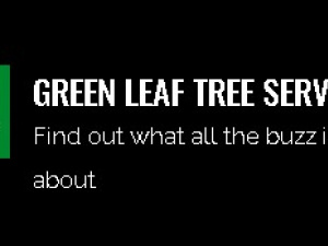 Green Leaf Tree Service