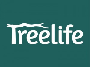 Treelife | Expertise in the Startup Ecosystem