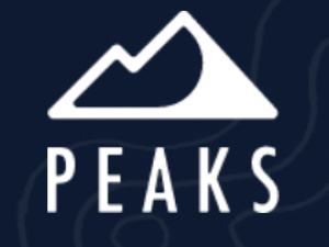 Peaks Digital Marketing