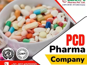 Best Pcd Pharma Franchise in Karnal