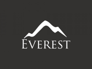 Everest Research - Debt & Equity