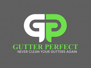 Find Expert Gutter Cleaning and Repair Services Ne
