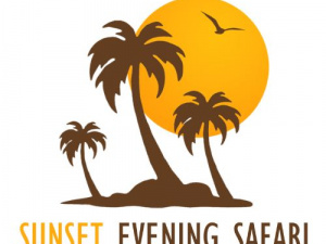 Sunset Evening Safari