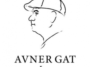 Avner Gat Public Adjusters
