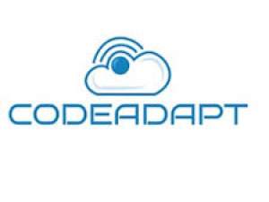 Codeadapt Digital Marketing Agency