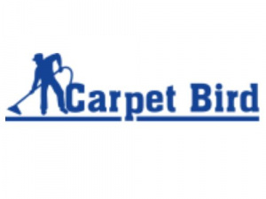 Carpetbird