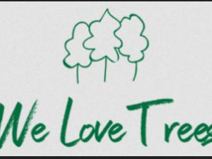 We Love Trees - Arborist and Tree Surgeon