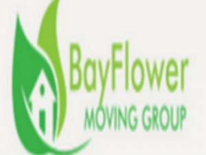 Bayflower Moving Group