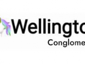 Wellington Conglomerate