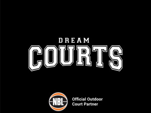 DreamCourts - Basketball system