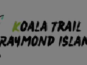 Raymond Island Koala Trail