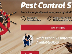 Termite Control Sydney - Bug Free Pest Control