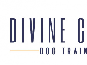 Divine Canine Dog Training