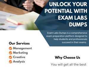 Master Your Exams with Exam Labs Dumps