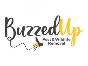 Buzzed Up Pest & Wildlife Removal