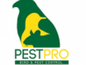 Pestpro Bird Solutions ltd