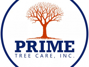 Prime Tree Care, Inc