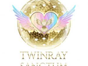 TwinRay Sanandaji