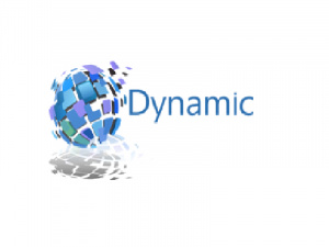 Dynamic Merchant Solutions