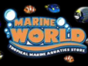 Marine World Aquatics 