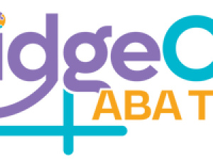 BridgeCare ABA NM